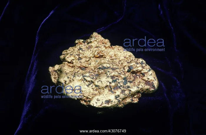 : Gold nugget : Gold nugget