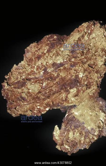  : Gold nugget