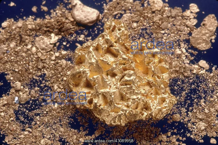 : Gold Nugget and Dust : Gold Nugget and Dust