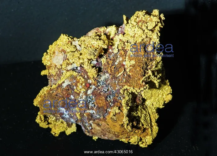  : Gold in Rock