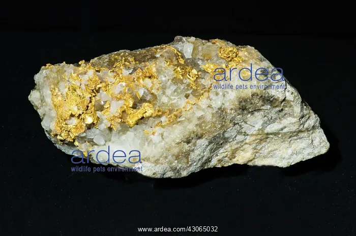  : Gold in Rock