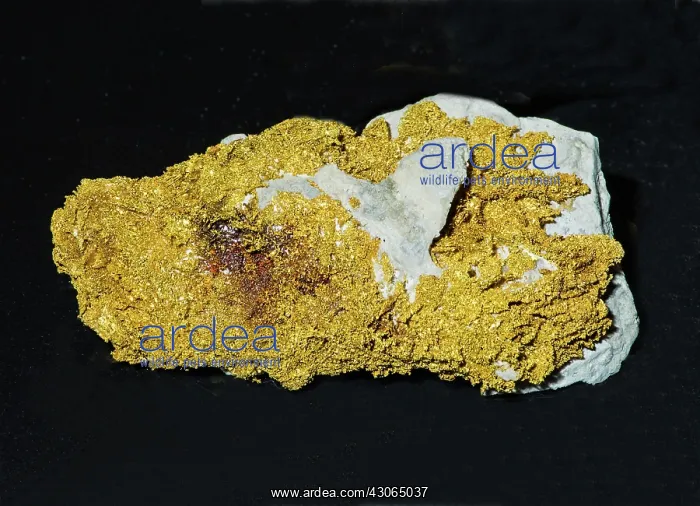  : Gold in Rock