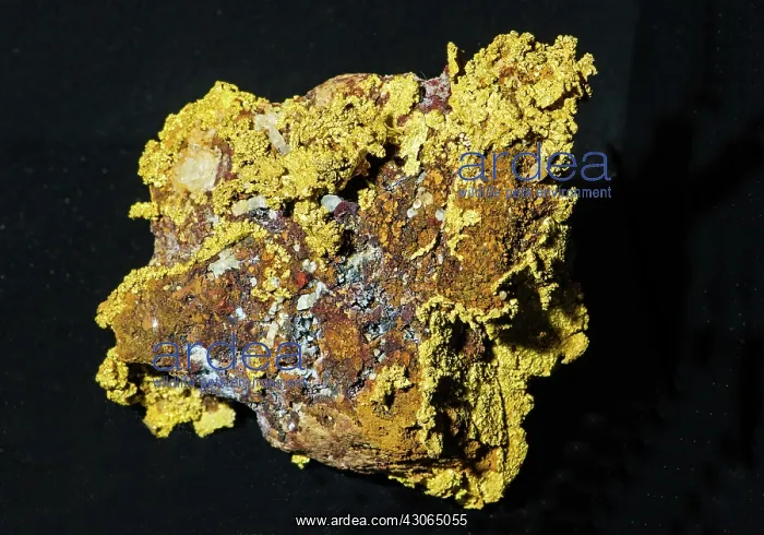 : Gold in Rock : Gold in Rock