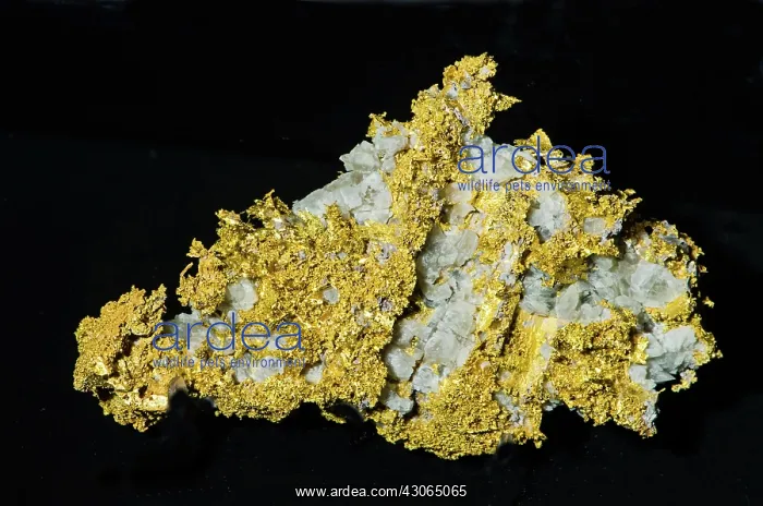 : Gold in Rock : Gold in Rock