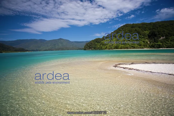 : Golden Bay, Abel Tasman National Park, South : Golden Bay, Abel Tasman National Park, South