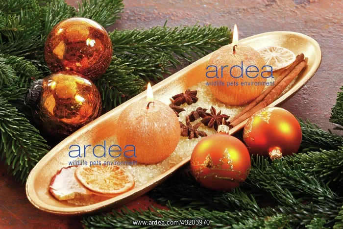 : Golden bowl with round candles and Christmas atmosphere : Golden bowl with round candles and Christmas atmosphere