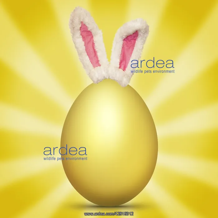 : Golden Egg with bunny ears Easter