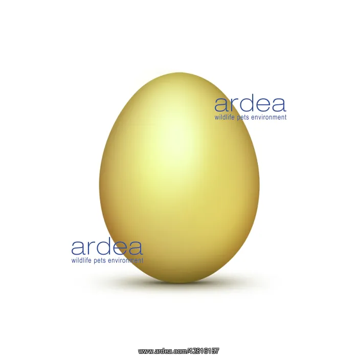 : Golden Egg - Easter : Golden Egg - Easter