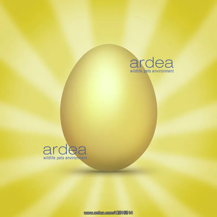 : Golden Egg - Easter : Golden Egg - Easter