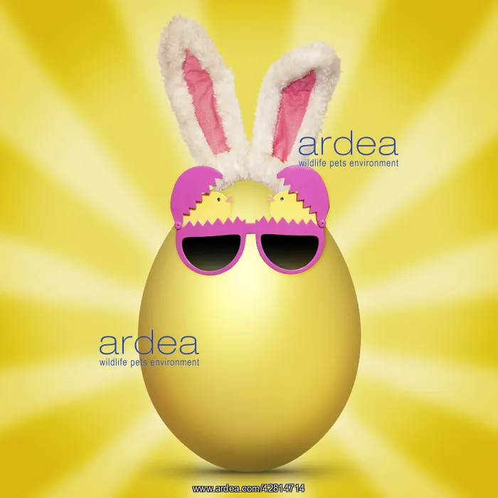  : Golden Egg, with glasses and bunny ears Easter