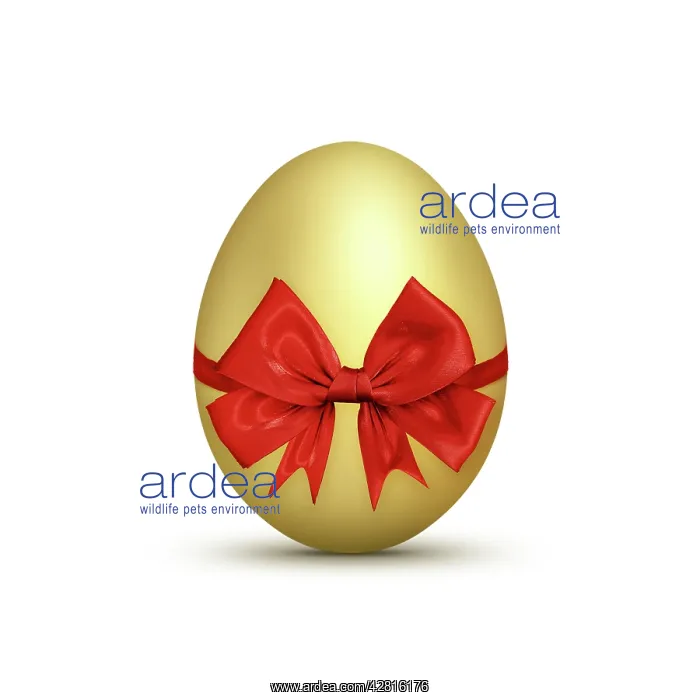 : Golden Egg - with red ribbon - Easter : Golden Egg - with red ribbon - Easter