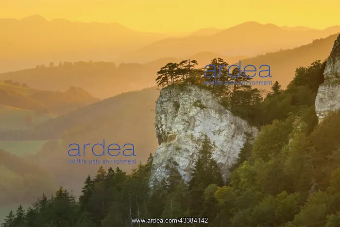 : Golden evening light over the striking rocky head of Ankenba : Golden evening light over the striking rocky head of Ankenba