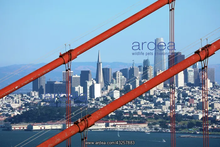 : Golden Gate Bridge and city skyline, San Franciso : Golden Gate Bridge and city skyline, San Franciso