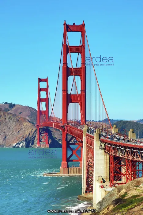 : Golden Gate Bridge, San Franciso, California, USA : Golden Gate Bridge, San Franciso, California, USA
