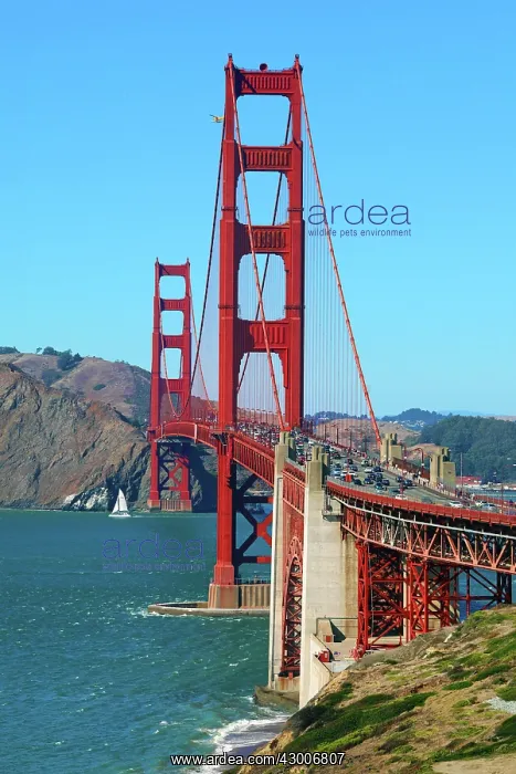 : Golden Gate Bridge, San Franciso, California, USA : Golden Gate Bridge, San Franciso, California, USA