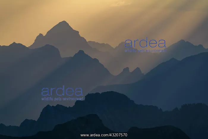 : Golden hour over Allgcu mountains, Warth, Vorarlberg : Golden hour over Allgcu mountains, Warth, Vorarlberg