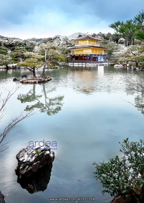 : Golden Pavilion Temple : Golden Pavilion Temple