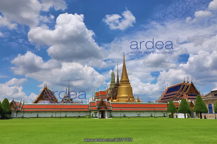 : Golden Phra Si Rattana Chedi, Phra Mondop and Prasat : Golden Phra Si Rattana Chedi, Phra Mondop and Prasat