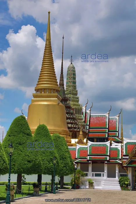: Golden Phra Si Rattana Chedi, Phra Mondop and Prasat : Golden Phra Si Rattana Chedi, Phra Mondop and Prasat