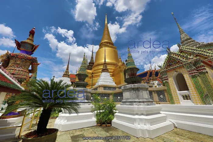 : Golden Phra Si Rattana Chedi at Wat Phra Kaew, Temple : Golden Phra Si Rattana Chedi at Wat Phra Kaew, Temple