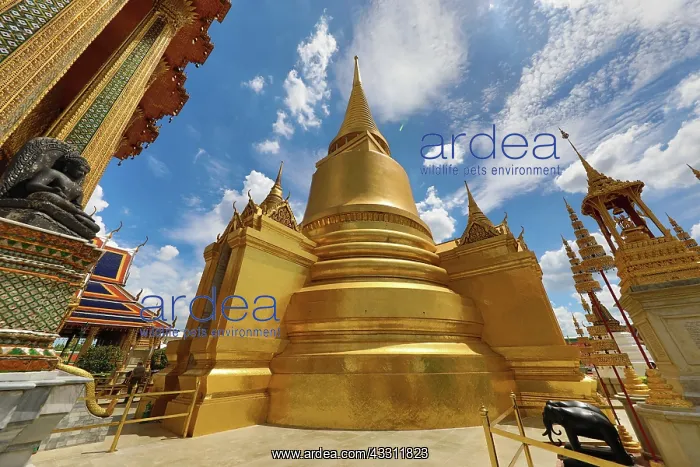  : Golden Phra Si Rattana Chedi at Wat Phra Kaew, Temple