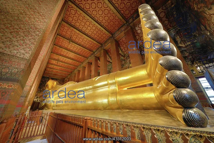 : Golden Reclining Buddha statue at the Wat Pho Temple : Golden Reclining Buddha statue at the Wat Pho Temple