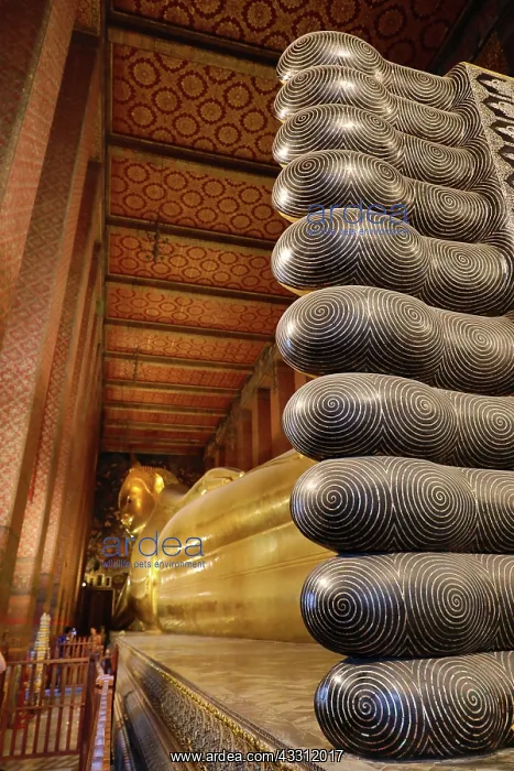  : Golden Reclining Buddha statue at the Wat Pho Temple
