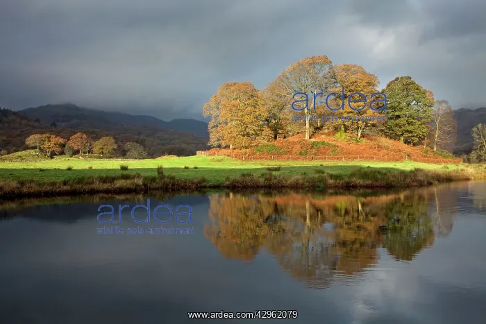 : Golden reflection in the river Brathey : Golden reflection in the river Brathey
