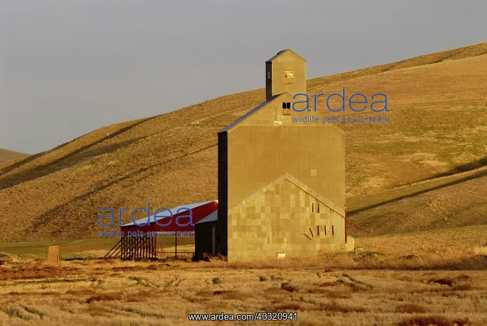 : Golden Sunset, Grain Elevator, Pomeroy, WA : Golden Sunset, Grain Elevator, Pomeroy, WA