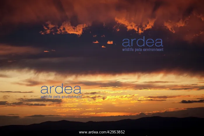 : Golden sunset over the Malvern Hills : Golden sunset over the Malvern Hills