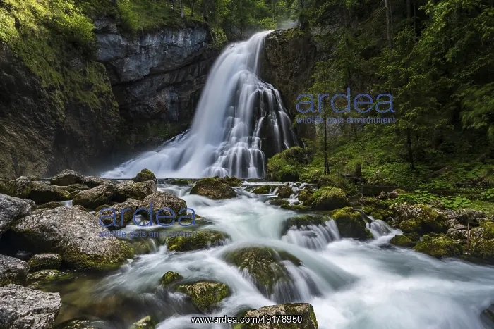: Golling Waterfall, Golling, Tennengau : Golling Waterfall, Golling, Tennengau