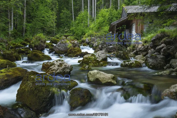 : Golling watermill. Traditional mill in an alpine landscape : Golling watermill. Traditional mill in an alpine landscape