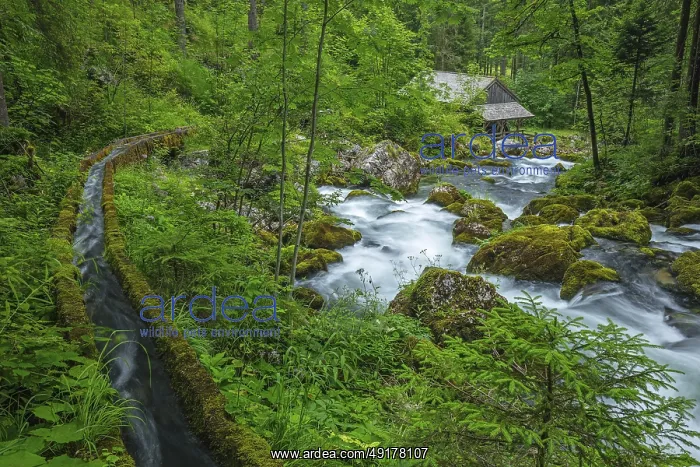 : Golling watermill from above at the waterfall with the water pipe : Golling watermill from above at the waterfall with the water pipe