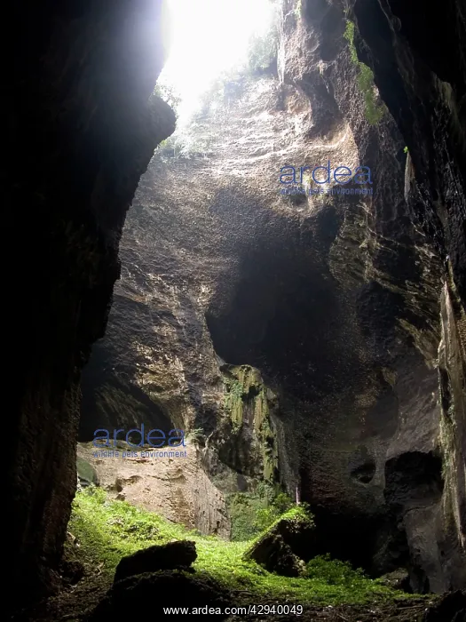 : Gomantong Caves - harvest place for Birds nests : Gomantong Caves - harvest place for Birds nests