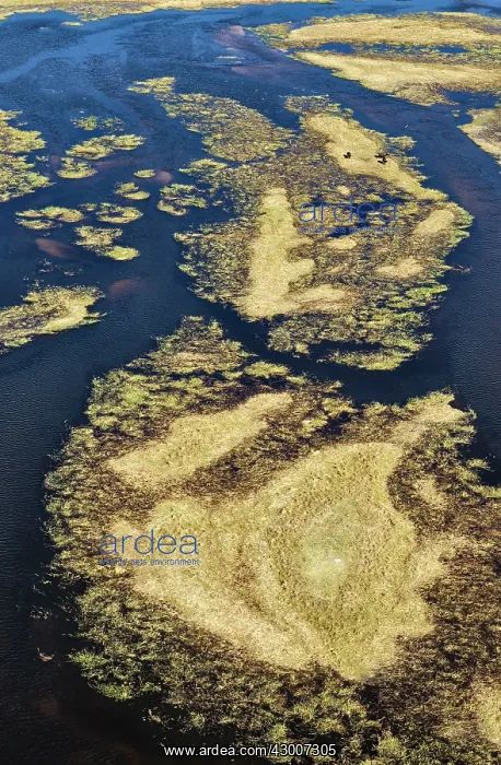 : The Gomoti River with its channels and islands at : The Gomoti River with its channels and islands at