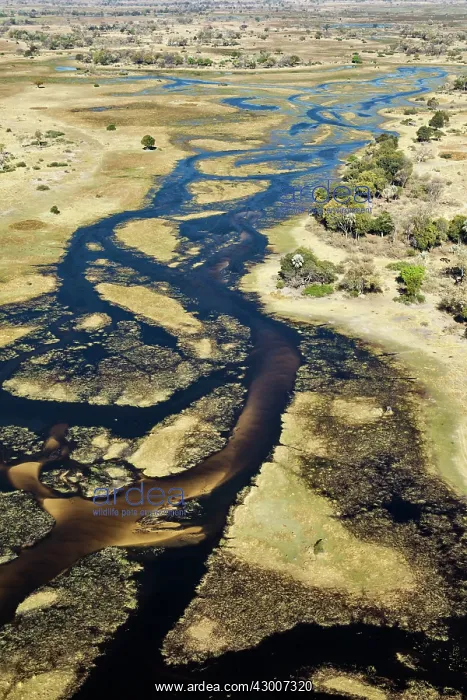 : The Gomoti River with its channels, islands, sandbanks