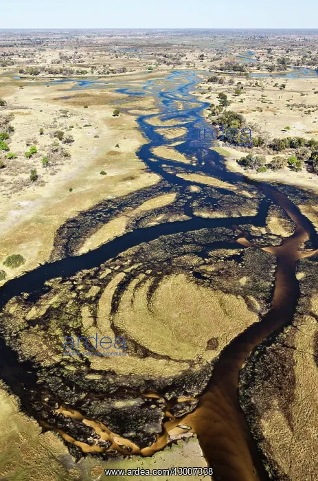 : The Gomoti River with its channels, islands, sandbanks : The Gomoti River with its channels, islands, sandbanks