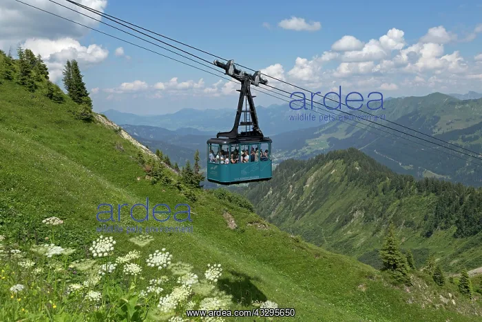 : Gondola of the cable car to the Walmendinger Horn : Gondola of the cable car to the Walmendinger Horn