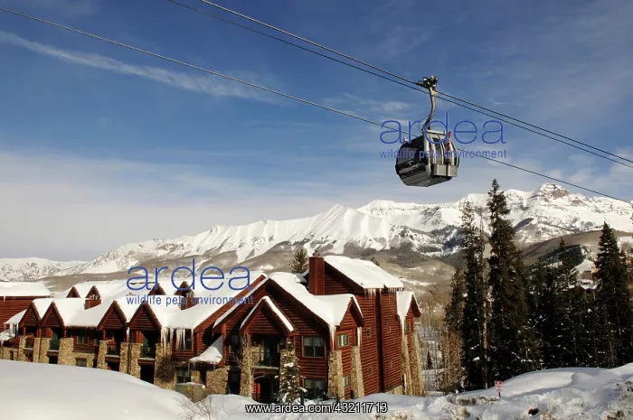 : Gondola, Lodges, Mountain Village, skiing area Telluride : Gondola, Lodges, Mountain Village, skiing area Telluride