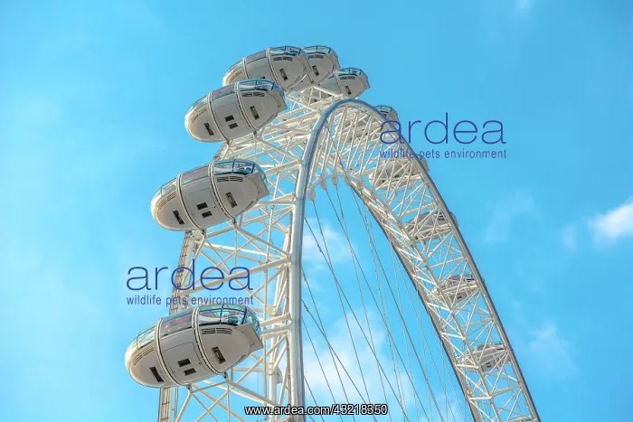 : Gondolas, London Eye, Partial View, London, London : Gondolas, London Eye, Partial View, London, London
