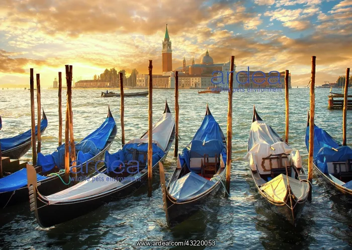 : Gondolas at St Mark's Square with the island of : Gondolas at St Mark's Square with the island of