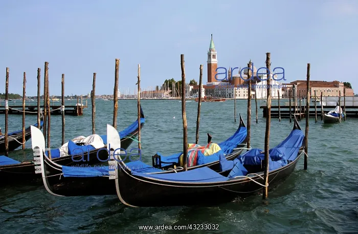 : Gondolas. Venice, Italy : Gondolas. Venice, Italy