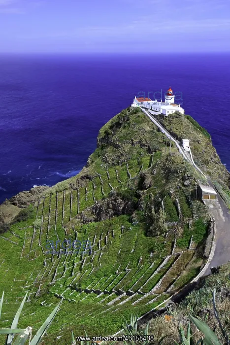 : Gonealo Velho lighthouse, Ponta do Castelo, Eastern : Gonealo Velho lighthouse, Ponta do Castelo, Eastern