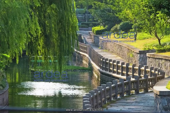 : Gongchen Bridge with willow tree, eastern end of : Gongchen Bridge with willow tree, eastern end of