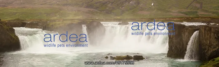  : Gooafoss waterfall in northern Iceland Goafoss waterfall in northern Iceland