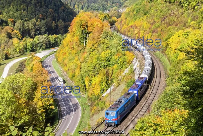 : Goods train, double traction, underway on the Geislinger : Goods train, double traction, underway on the Geislinger