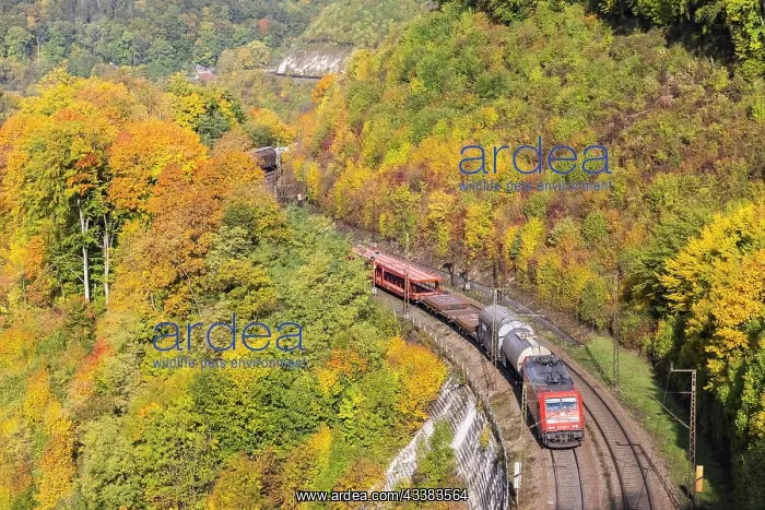 : Goods train, en route on the Geislinger Steige : Goods train, en route on the Geislinger Steige