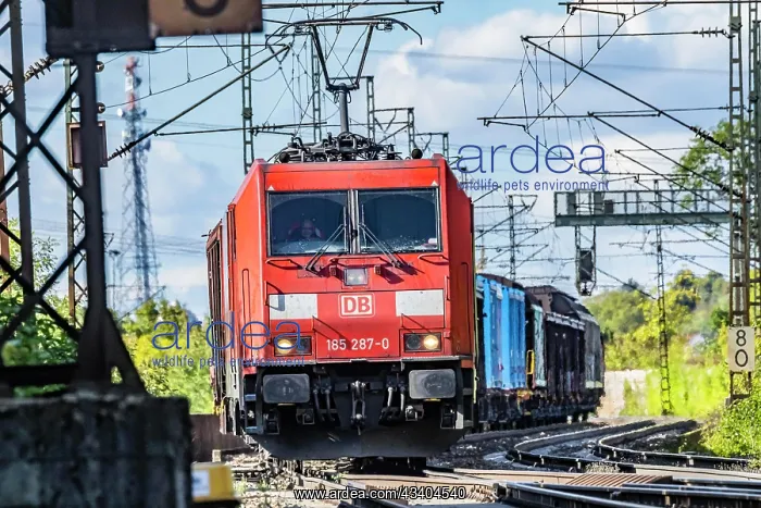 : Goods train on its way on the so-called Schusterbahn : Goods train on its way on the so-called Schusterbahn