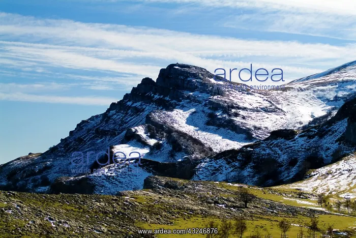 : Gorbea Natural Park. Aldamin mount. Biscay : Gorbea Natural Park. Aldamin mount. Biscay