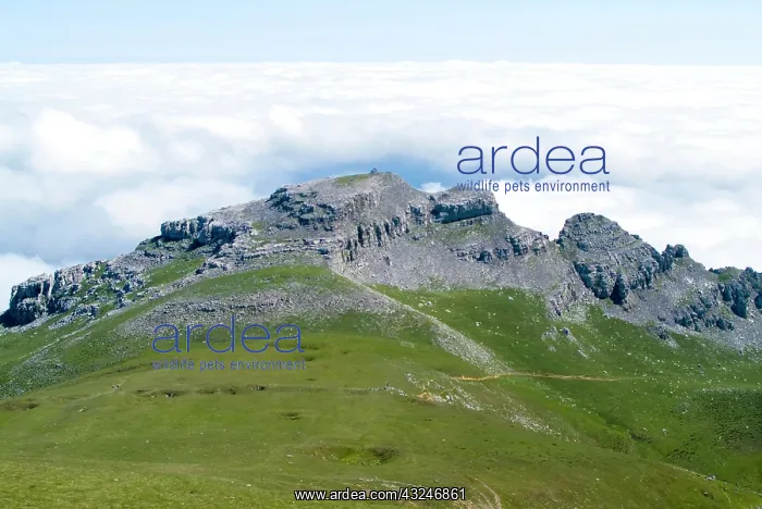 : Gorbea Natural Park. Aldamin mount view : Gorbea Natural Park. Aldamin mount view